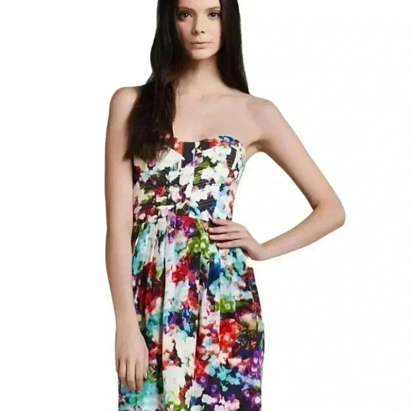 Parker Lily Secret Garden Women's 100% Silk Strapless Dress - Picture 13 of 13